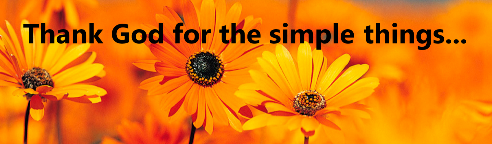 1_Bright_Orange_Flowers__text_1700x500px.png